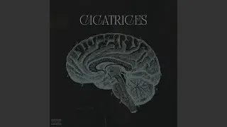 Cicatrices