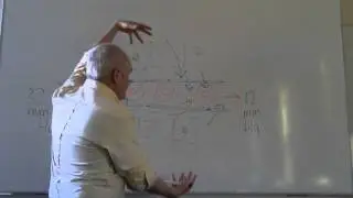 Tissue fluid and afferent lymphatic vessels live lesson
