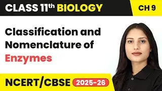 Classification and Nomenclature of Enzymes - Biomolecules | Class 11 Biology Chapter 9 |CBSE 2025-26