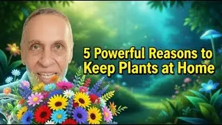 5 Powerful Reasons to Keep Plants at Home | Turn Your Home into a Happy Place