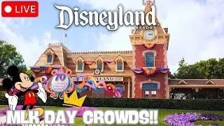 DISNEY MLK Day Crowds at Disneyland Resort! #livestream