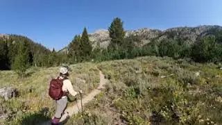 Alpine Creek