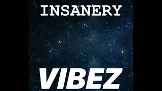 vibez - insanery
