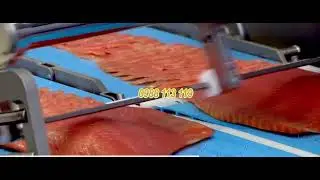 Cắt l&aacute;t   slice c&aacute; hồi