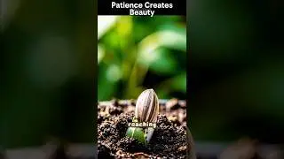 This Sunflower Will Change How You See Growth #sunflower #shorts