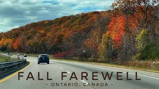 Fall&rsquo;s final bow and winter&rsquo;s first snow || Ontario,Canada #fallseasonends #snowfall #fallcolours