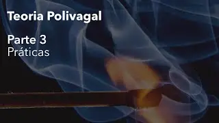 Teoria Polivagal - Parte 3 - Como fazer o sistema funcionar melhor