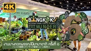 งานบางกอกพรรณไม้นานาชาติ ครั้งที่ 6 Bangkok International Exotic Plants Show 6th バンコク国際外来植物ショー & セール