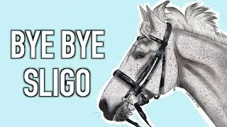 VAIS-JE VENDRE MON PONEY ? (ask) / Mathilde & Sligo