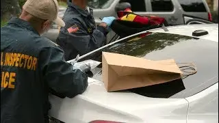 International operation targets Darknet drug markets