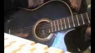 repilia version acustica