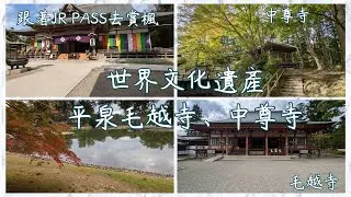 日本東北賞楓、世界文化遺產平泉中尊寺、毛越寺。