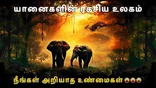 யானைகள் 🐘 உண்மையிலே இவ்வளவு புத்திசாலியா? | Elephant Full Documentary in Tamil