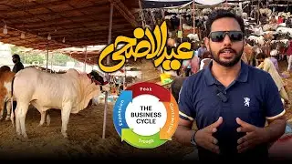 Eid ul Adha Market INSIDE: The Business Cycle of Qurbani Animals | Research Vlog | Mandi 2025
