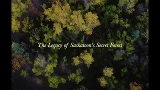 The Legacy of Saskatoon's Secret Forest Documentary