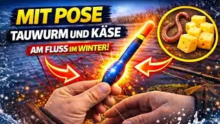 Angeln mit Pose am Fluss im Winter [ Klappt es mit Tauwurm und K&auml;se? ]