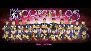 BANDA CUISILLOS