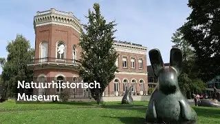 Impressie Natuurhistorisch Museum in Rotterdam | Musea in Rotterdam | Museumpark