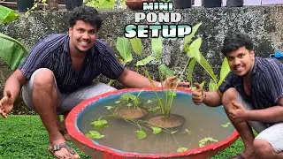 Mini Pond Setup in our Garden | #gardening #garden #gardeningideas #ideas #vlog #abinesh