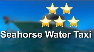 Seahorse Water Taxi Reviews - St Thomas Water Taxi