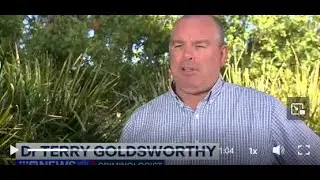 CH 9 Gold Coast News hoons run rampant across Gold Coast interview with Dr Terry Goldsworthy