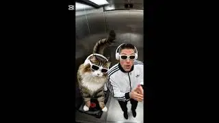 #funnyvideo #dj #dance #remix #electronicmusic #cat #funnyvideo #viral #funny #music #katzen #fyp