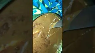 Jalal Sons Three Milk Cake