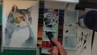 Painting a Calico cat in watercolour Tutorial start to finish