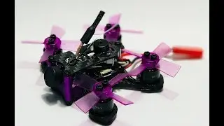 Guppy 60mm v2 with DYS BE 0905 10000Kv motors