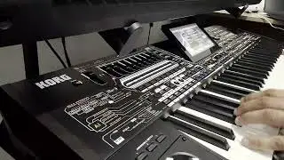 Korg Pa5x Shexani Test (Кадир Демир)