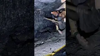 Underground mining 😮#satisfying #mining #coalmining #coalindustry #trending #shorts #coalmine