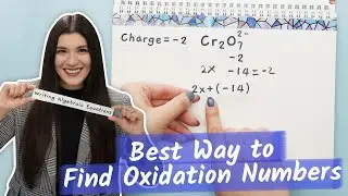 Writing Algebraic Equations in Chemistry