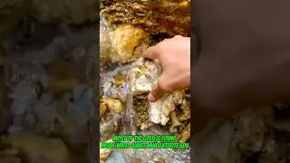 #goldrush 2025 A lot of fine gold was found beneath this waterfall #goldmining #goldpanning