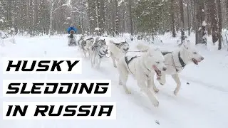Epic Husky Dog Sledding In The Heart Of Siberia