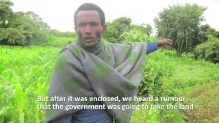 NBDC experiences with fodder development in Fogera, Ethiopia