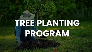 Dearborn Flood Preparedness: Trees are one of our Greatest Tools