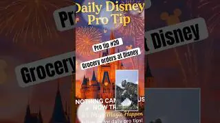 Disney pro tip #20 #disney #bookwithus #familyvacation #disneyvacation #waltdisneyworld #disneymagic
