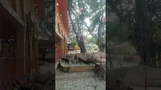 बाराही मंदिर  आदि शक्ति पीठ गोंडा Jai Mata di 🙏 dj arvind vlog 🙏 saskarib jarur kare dosto ##