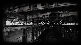 TEMPLA IN CINERE - Vacíos Eternos (Official Lyric Video)