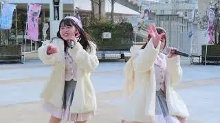 2026/1/25（日）まちなか広場ライブ　SAKURA（さくらせぞん）
