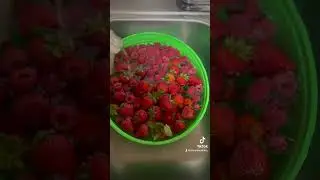 3-Day Fruit Fast