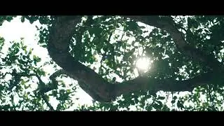 Keerthy 💗 Vishnu Teaser