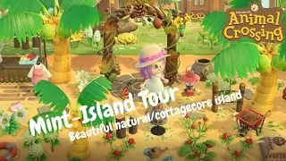 Animal Crossing-Mint Island Tour-Stunning natural/cottagecore island