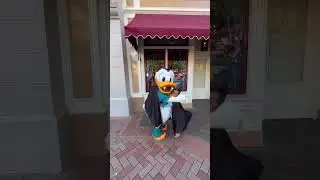 Little Boy Gets 'Tail-Shaking' Lesson From Donald Duck