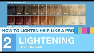Chapter 2: The Hair Lightening Process and What to Expect