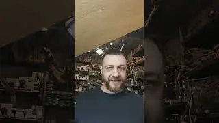 Лечение плавниковой гнили у рыбок
