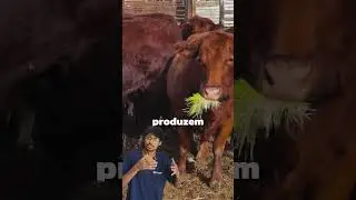 Essa tecnologia est&aacute; revolucionando a agropecu&aacute;ria 😱🍃