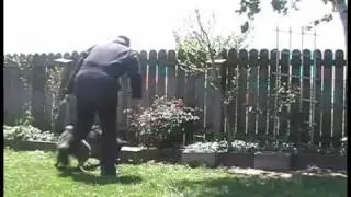 Detection Dog Seminar Niagra Penninsula