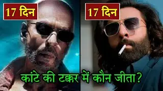 Animal vs Jawan box office collection | Animal day 17 collection | Animal 17th day collection