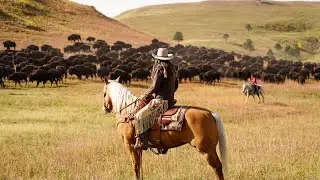 Gov. Noem Rides in the Buffalo Roundup